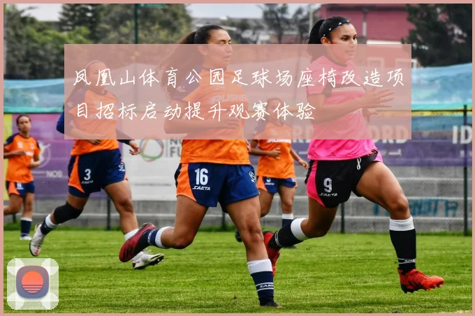 凤凰山体育公园足球场座椅改造项目招标启动提升观赛体验